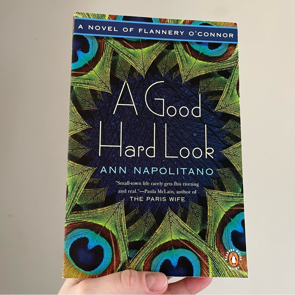 📚4/25$📚 
A Good Hard Look by Ann Napolitano Book | Booktok